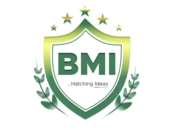 The Vision Behind BMI